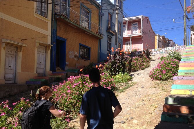 Valparaiso Walking Tour From Santiago - Picturesque Views of the Bay