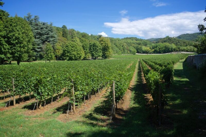 Valpolicella: Amarone Chateau Guided Tour and Wine Tasting - Discover Valpolicellas Historic Estate