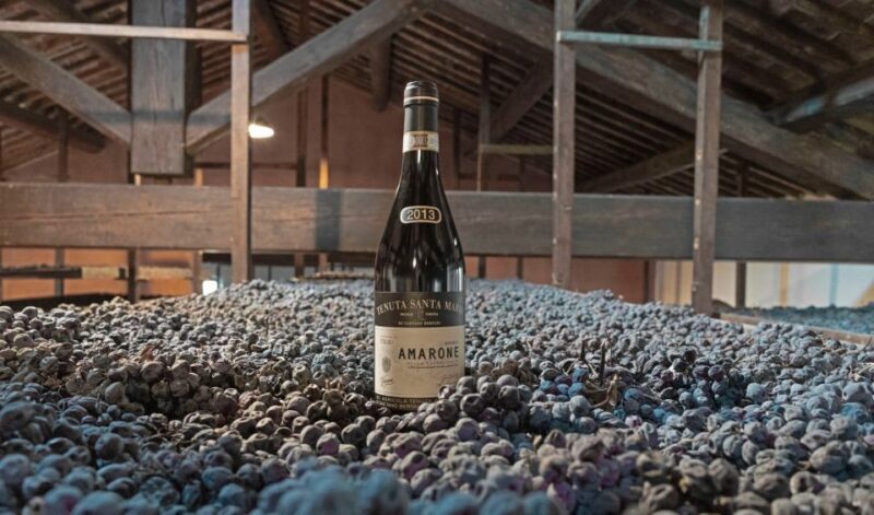 Valpolicella: Amarone Chateau Guided Tour and Wine Tasting - Participant Information and Age Restrictions