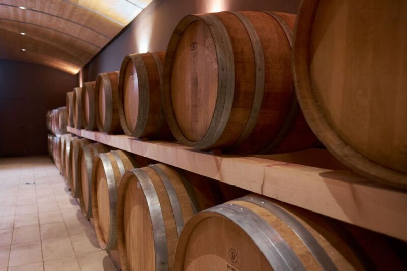 Valpolicella: Amarone Experience With Cantina Visit - Historic Family-Owned Winery