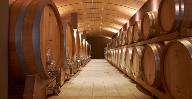Valpolicella: Amarone Experience With Cantina Visit - Amarone Tasting Experience