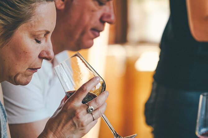 Valpolicella and Amarone Wine-Tasting Tour From Verona - Key Points