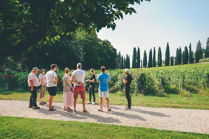 Valpolicella and Amarone Wine-Tasting Tour From Verona - First Winery Visit