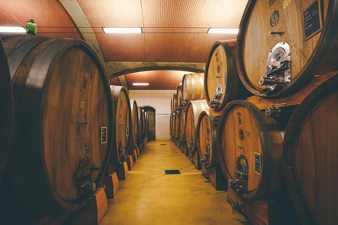 Valpolicella and Amarone Wine-Tasting Tour From Verona - Second Winery Visit