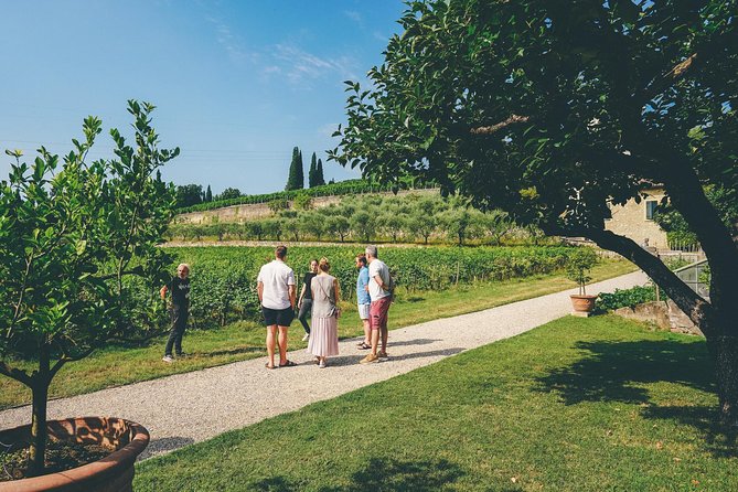 Valpolicella and Amarone Wine-Tasting Tour From Verona - Veronas Wine Capital