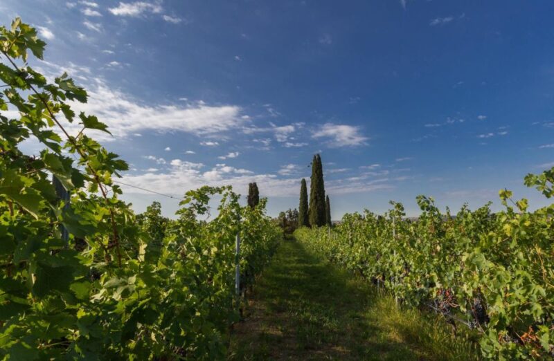 Valpolicella: Boutique Winery Tour and Tasting - Key Points
