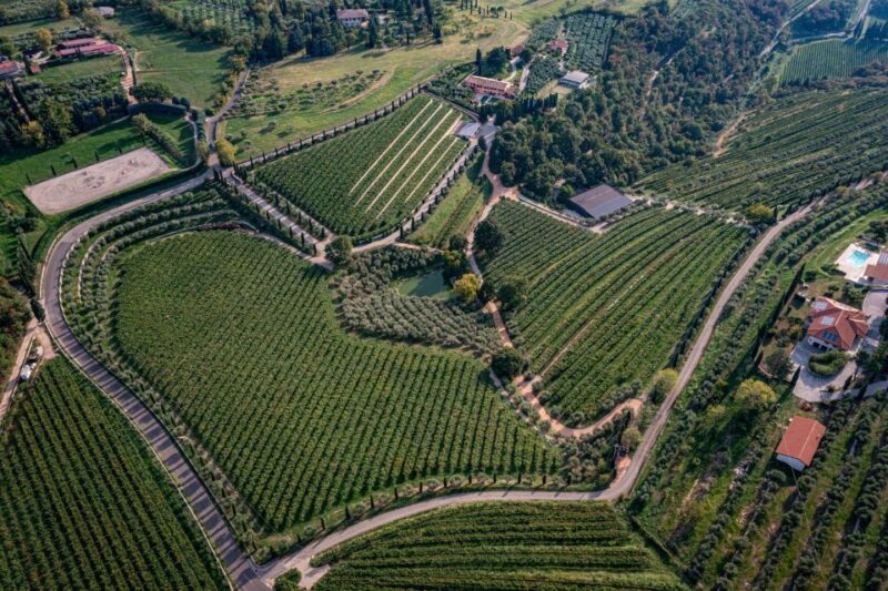 Valpolicella: Guided Tour & Exclusive Tasting – Hidden Gems - Itinerary Highlights