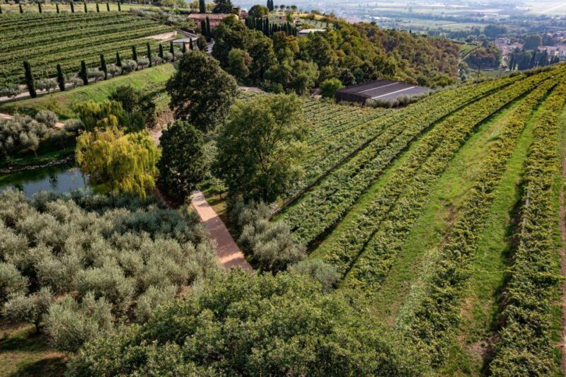 Valpolicella: Guided Tour & Exclusive Tasting – Hidden Gems - Wine Tasting Experience