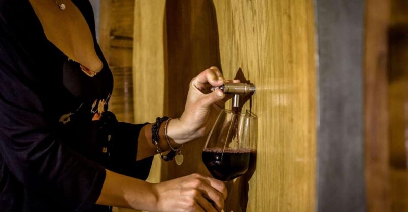Valpolicella: Guided Tour & Exclusive Tasting – Hidden Gems - Exclusive Sommelier Expertise