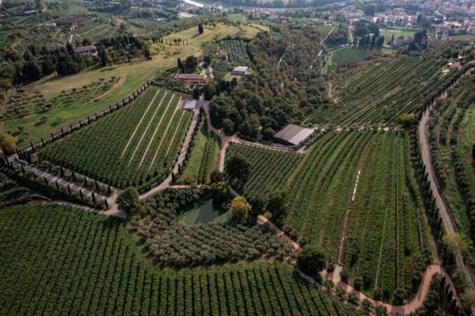 Valpolicella: Guided Tour & Exclusive Tasting – Hidden Gems - Estate Highlights and Inclusions