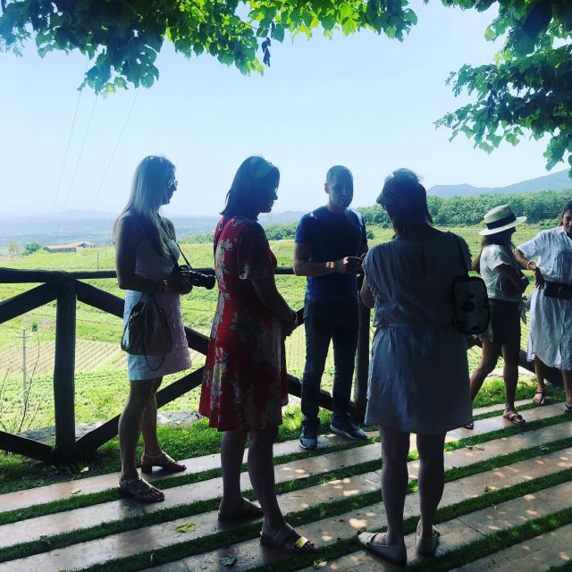 Valpolicella: Guided Wine Tour With Tastings of Local Wines - Itinerary and Experience