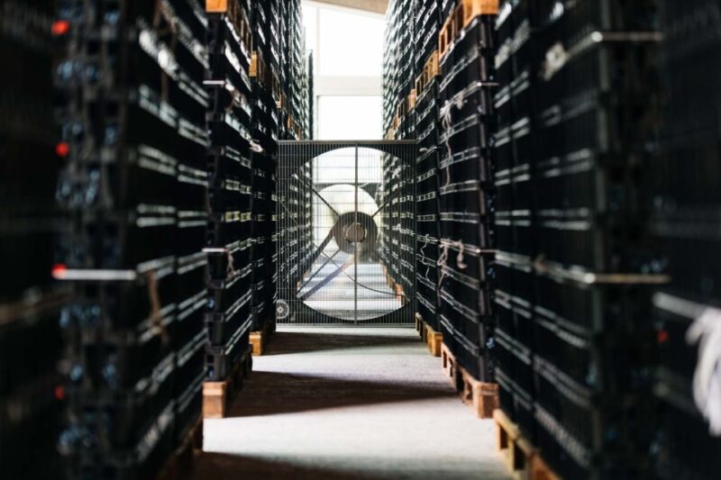 Valpolicella: Lunch or Dinner Tasting With Amarone - Key Points