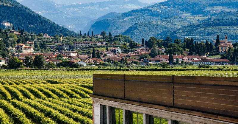 Valpolicella: Lunch or Dinner Tasting With Amarone - Wine Production and Grape Varieties
