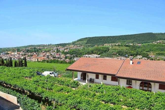 Valpolicella - the Wine Paradise - Tasting the Valpolicella Wine Range