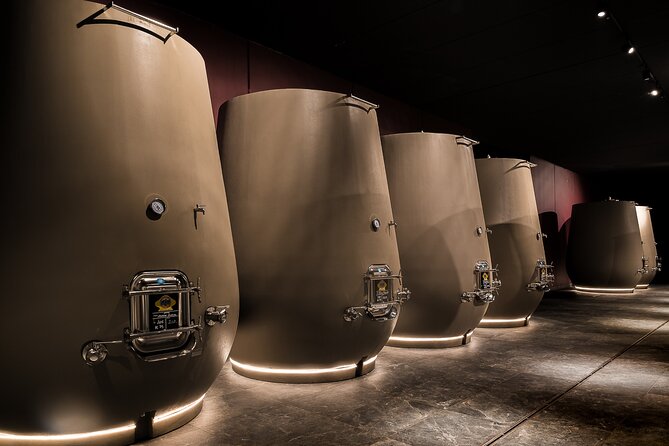 Valpolicella Wine Tasting Experience & Light Lunch - Pairing the Wines With Local Cuisine