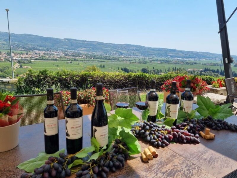 Valpolicella: Wine Tasting on a Spectacular Terrace - Meeting Point and Tour Logistics
