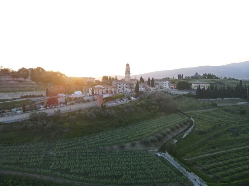 Valpolicella: Wine Tasting on a Spectacular Terrace - Booking Information and Cancellation Policy