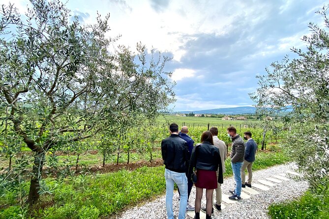 Valpolicella Wine Tour: Explore 3 Wineries, Lunch & Amarone Focus - Winery Visits and Tastings