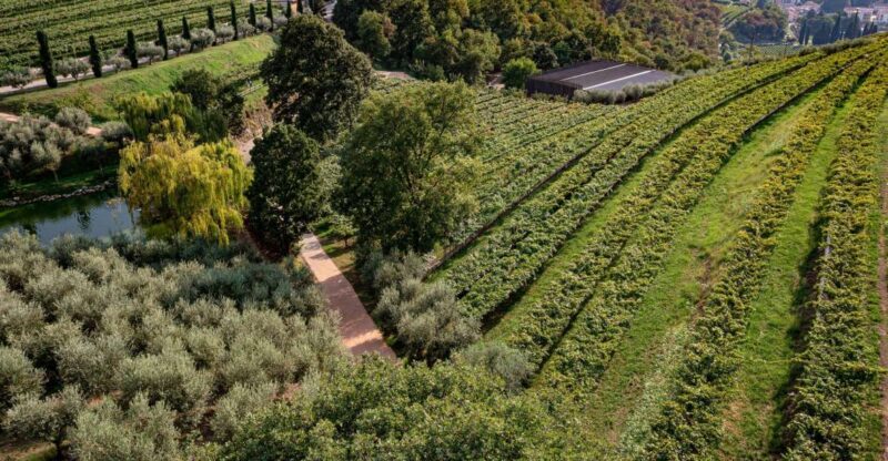 Valpolicella: Winery Tour, Blind Tasting & Light Lunch - Important Information