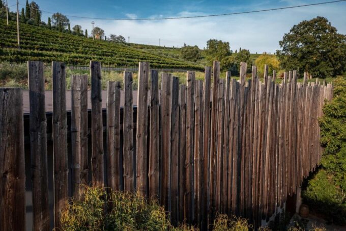 Valpolicella: Winery Tour, Blind Tasting & Light Lunch - Local Product Lunch
