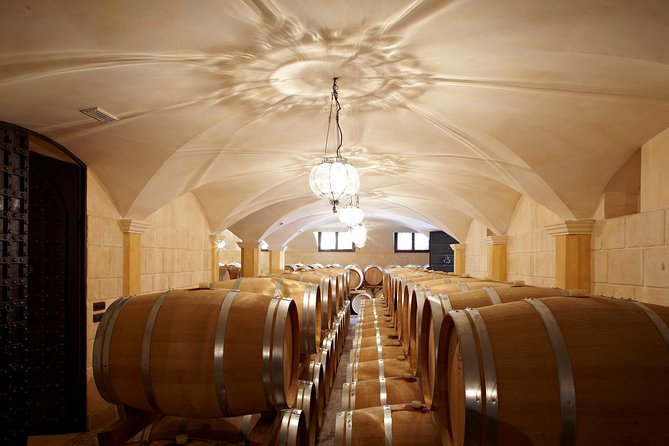 Valpolicella Winetour From Venice: Taste Amarone With Sommelier - Key Points