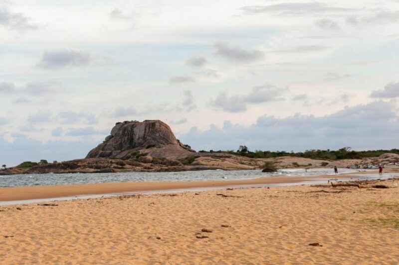 Value Tour: One Day Safari Trip to Yala & Udawalawe w/ Lunch - Final Thoughts: Is It Worth It?