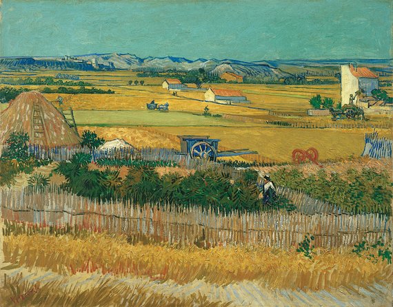 Van Gogh Museum Amsterdam and 1-Hour Canal Cruise - Accessibility and Group Size