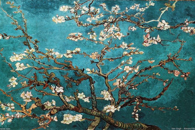 Van Gogh Museum Exclusive Guided Tour With Reserved Entry - Reviews and Cancellation Policy