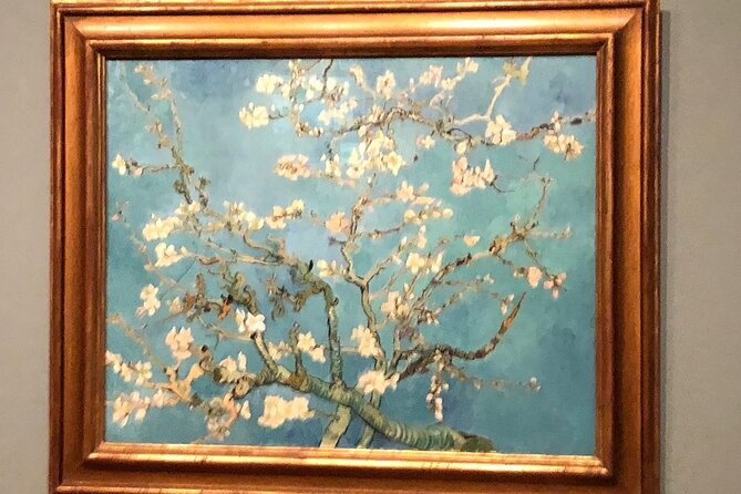 Van Gogh Museum, Rijks Museum & Walking Tour - Private Day Tour - Customized Private Tour