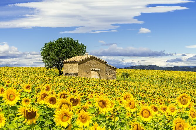 Van Goghs Provence & Roman Sites - Small-Group Day Trip - Les-Baux-de-Provence: Provencal Cliff-Side Village