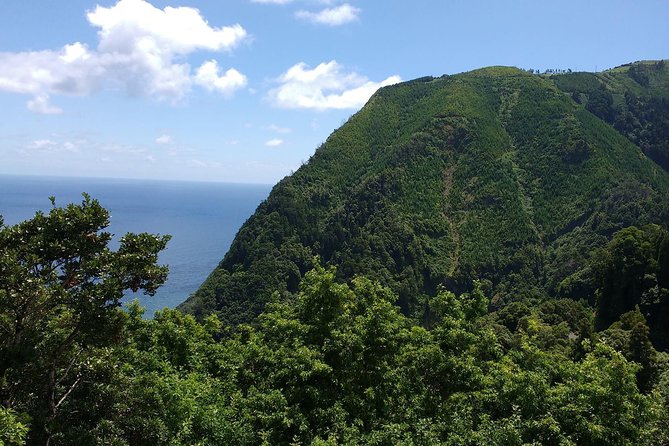 Van – Scenic Tour – Nordeste / Povoação – Full Day/ With Lunch (Shared) - Cancellation and Payment