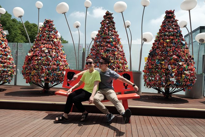 Van Tour in Seoul by Experts(Photography Option) - Pricing and Booking