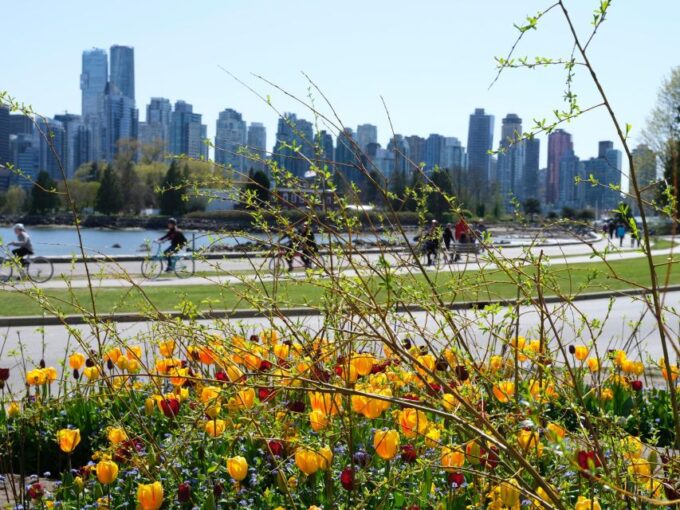Vancouver: 24 or 48-Hour Hop-On Hop-Off Trolley Tour Pass - Hop-On Hop-Off Accessibility
