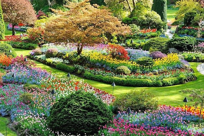 Vancouver 3 Days Budget Tour With Victoria & Whistler - Not Included in the Tour