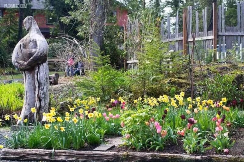 Vancouver 4 Days Island Adventure Tour - Transportation and Amenities