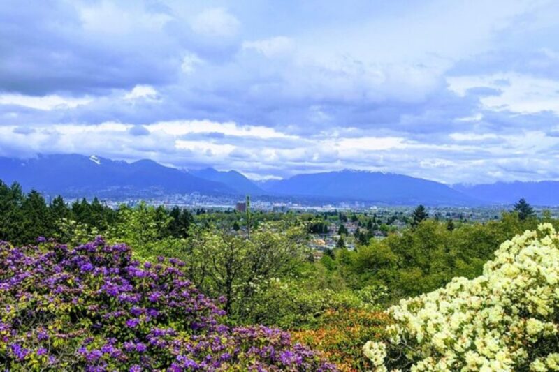 Vancouver 7 Hours Airport Layover Citytour Private - Pickup and Logistics