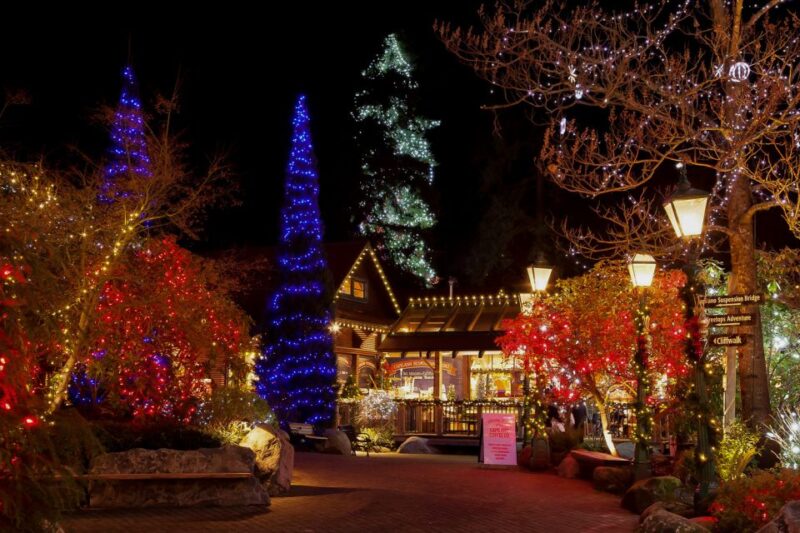 Vancouver and Capilano Suspension Bridge Canyon Lights - Customer Reviews and Ratings