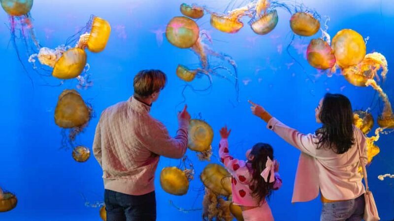 Vancouver Aquarium: Skip-the-Line Ticket - An Introduction to the Vancouver Aquarium Experience