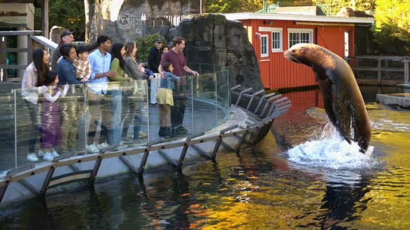 Vancouver Aquarium: Skip-the-Line Ticket - Deep Dive into the Exhibits and Experiences