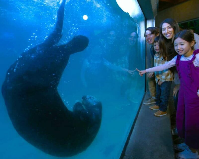 Vancouver Aquarium: Skip-the-Line Ticket - Authentic Traveler Perspectives