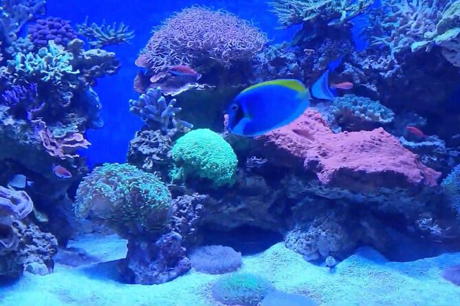 Vancouver AquariumTickets - Animal Encounters
