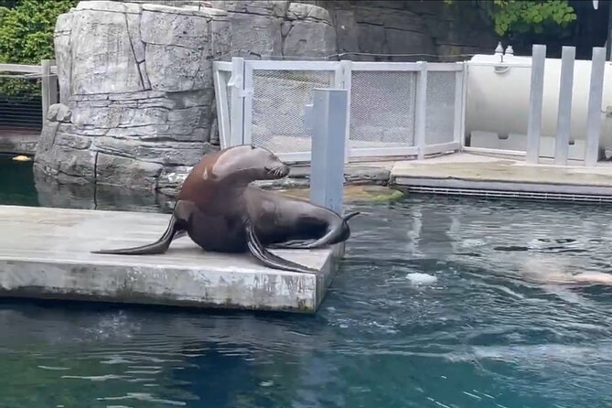 Vancouver AquariumTickets - Visitor Information