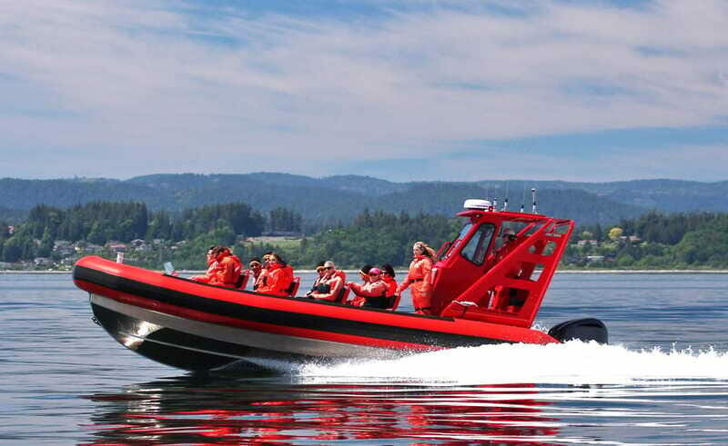 Vancouver, BC: Whale Watching Tour Small Zodiac with Guide - Practical Details and Value