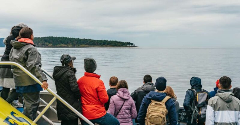 Vancouver, BC: Whale Watching Tour - Whale Watching Experience