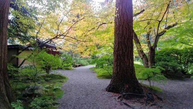 Vancouver: Botanical Gardens Tour and Museum of Anthropology - Discovering Nitobe Memorial Garden