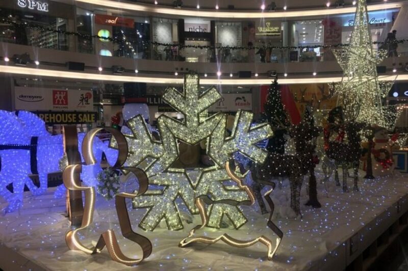 Vancouver Branded Shopping Tour Private - Inclusions