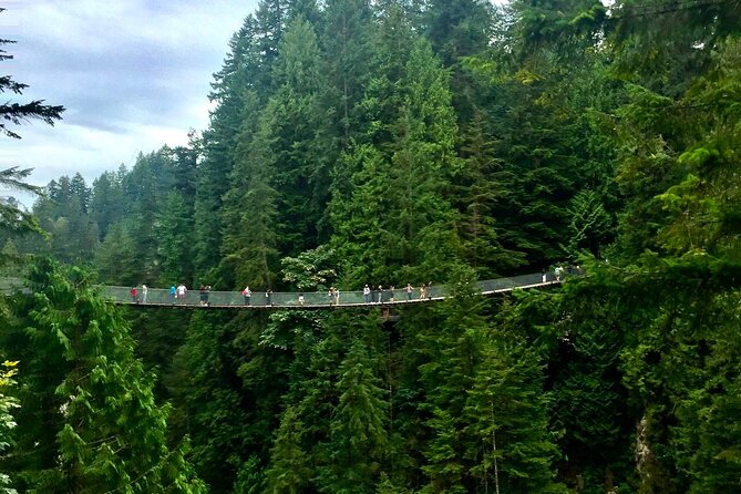 Vancouver Capilano Canyon Light and Peak of Christmas in Grouse Mountain - Transportation and Seating