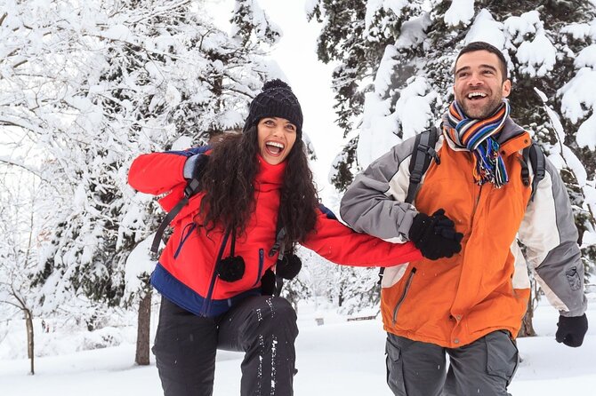 Vancouver Capilano Canyon Light and Peak of Christmas in Grouse Mountain - Participation and Pricing