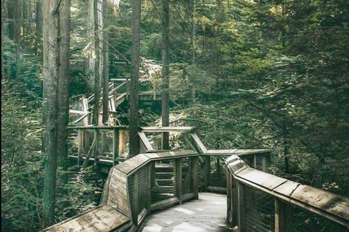 Vancouver Capilano Canyon Light&Peak of Christmas in Grouse - Family-Friendly Activities