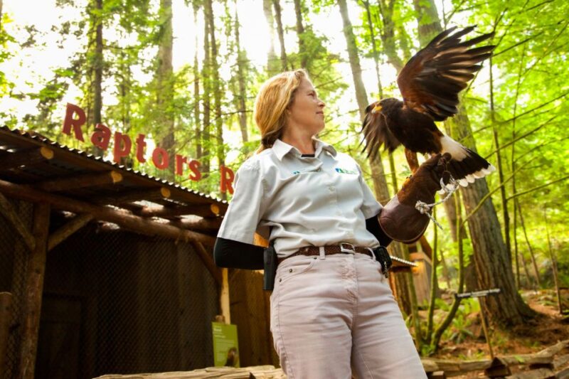 Vancouver: Capilano Suspension Bridge Park Ticket - Park Highlights